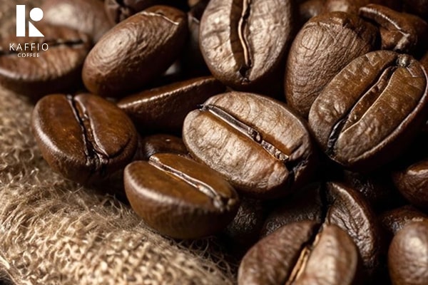 بهترین قهوه روبوستا برای کدام کشور است؟