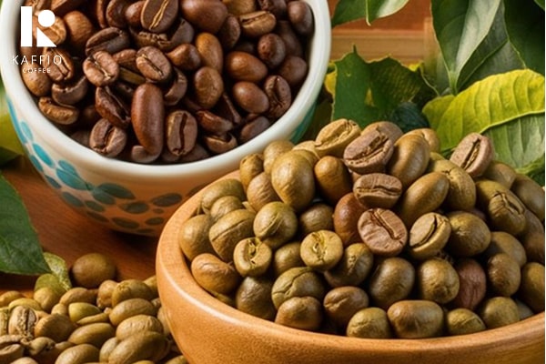 تفاوت قهوه عربیکا و روبوستا