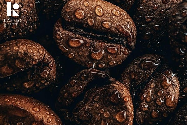 بهترین برند قهوه عربیکا در ایران 