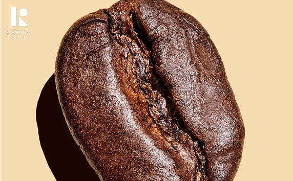 قهوه ۱۰۰٪ عربیکا چیست؟