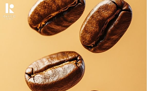 بهترین ترکیب قهوه عربیکا و روبوستا
