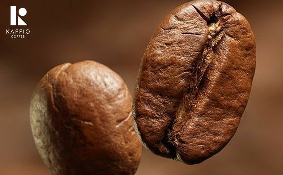 قهوه روبوستا چیست؟ 