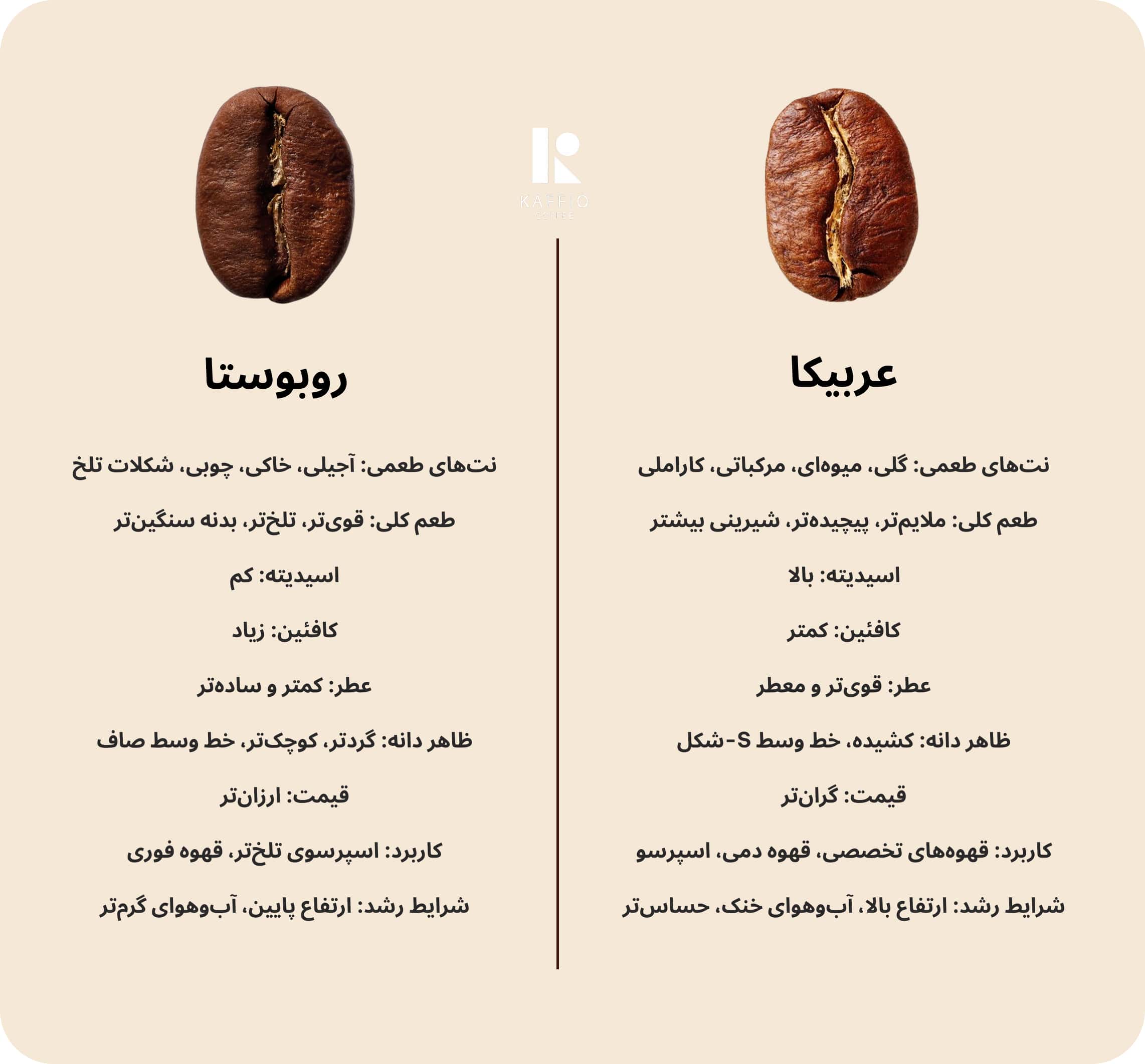 تفاوت قهوه عربیکا و روبوستا